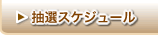 抽選スケジュール